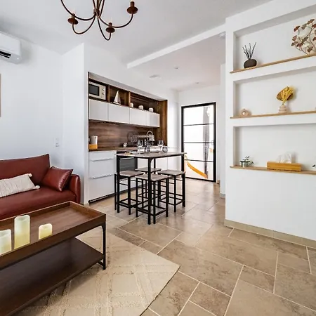 Апартаменты Le Loft Sur Riviere Дижон