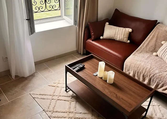 Apartment Le Loft Sur Riviere Dijon